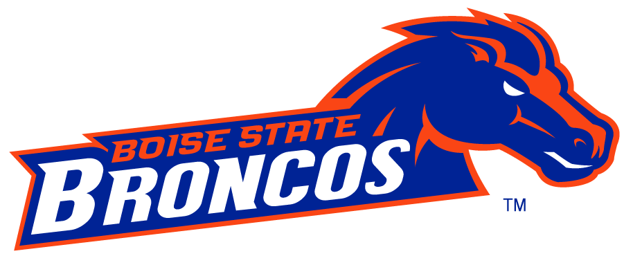 Boise State Broncos 2002-2012 Secondary Logo v28 iron on transfers for clothing